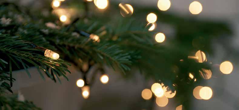 Beskyttelse af julebelysningen mod indirekte berøring For at imødekomme de nye regler omkring beskyttelse mod indirekte berøring, kan vores belysningstavler med fordel anvendes.