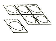 2. Riv en tabletlomme af Hver blister indeholder seks tabletlommer, som er adskilt med perforationer.