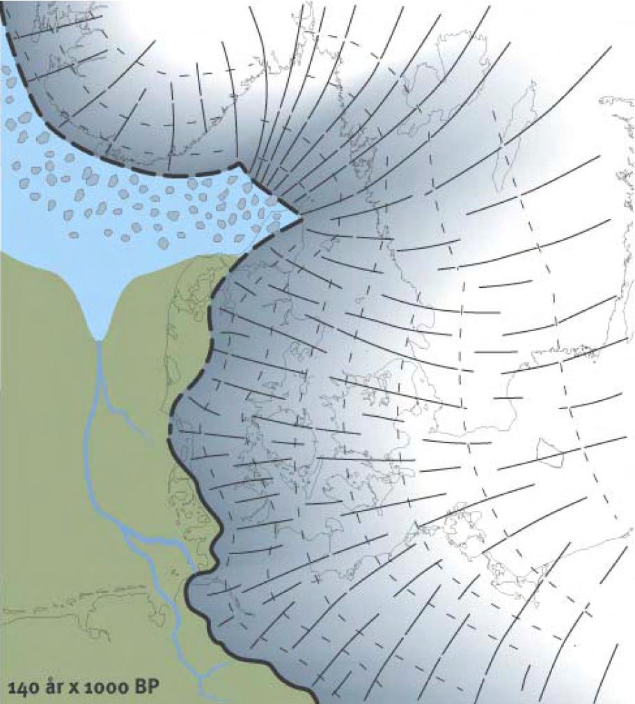 Figur 16. Udbreddelsen af Saale istidens Warthe gletsjer. I følge Houmark-Nielsen et al., Geoviden 2005 nr. 2. 4.2.2 Eem Mellemistid aflejringer Saale istiden blev afløst af Eem mellemistiden, der begyndte for 130.