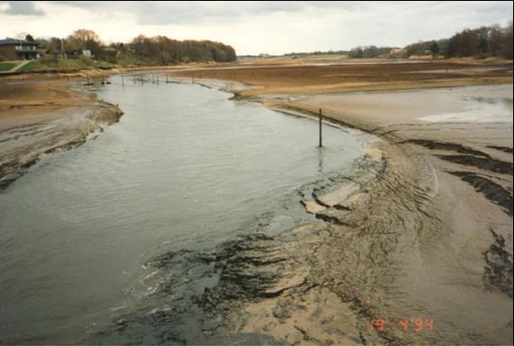 VVM REDEGØRELSE FOR KLIMATILPASNING AF HOLSTEBRO BY 185 Figur 11-7 Synligt sediment foran dæmningen i Vandkraftsøen i forbindelse med tømningen i 1994.