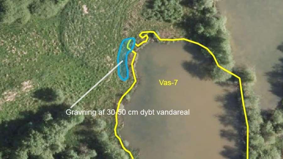 Vas-7 (Brillerne, vest): INDSATSFORSLAG: Gravning af et lavvandet, 30-50 cm dybt vandareal (en lang vig ) på nogle meters bredde fra søens lille vig mod nordvest og derfra langs kanten af det