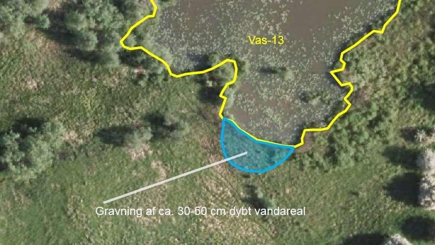 Vas-13: INDSATSFORSLAG: I søens sydlige ende foreslås gravning af et lavvandet, ca. 30-50 cm dybt areal fra den stejle søbred og ind i moseområdet langs de sydligste ca.