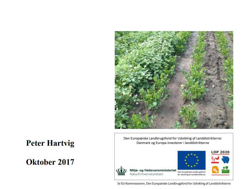 Demonstrationsforsøg med herbicider i grønsager og jordbær Resultater af delprojekt 5 i LD-projektet