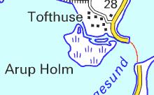 Arup Holm Kommune: Thisted Lokalitetsnr: 787351 Lokalitetstype: Strandeng Klassifikation: K3 Dækning: Y2 UTM E: 493900 UTM N: 6315300 Strandeng. Vejlernes Feltstation, DMU.