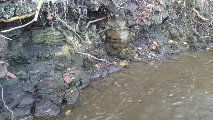 Foto: NIRAS 2017-11-15 17: Vandløbet er hugget ned i