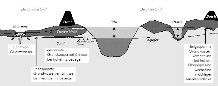 Oversvømmelse ifølge grundvand En del af nedbøren siver ned i jorden gennem muldlaget og bliver til grundvand. I den øverste del af jorden bevæger vandet sig omtrent lodret nedad (ved sand ca.