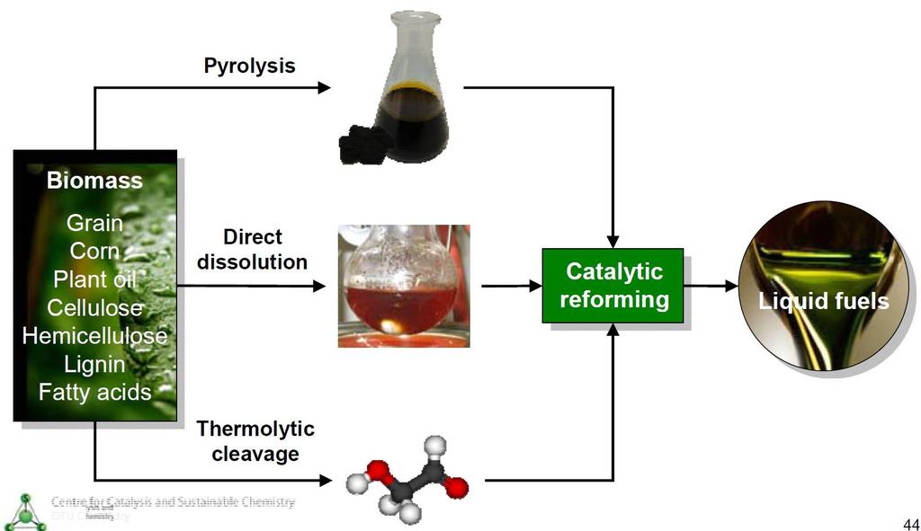 Catalysis for Sustainable
