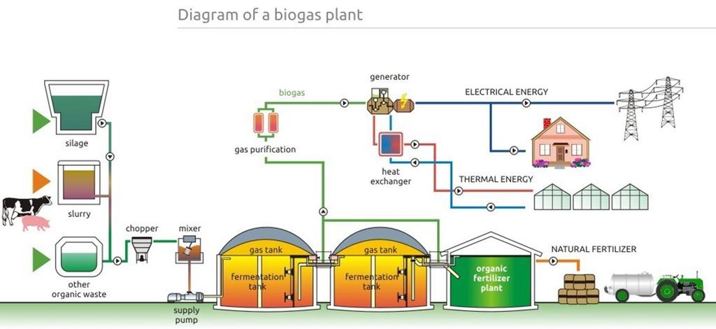 Biogas produktion og forædling (Igangværende projekt DTU-Industri) Typisk