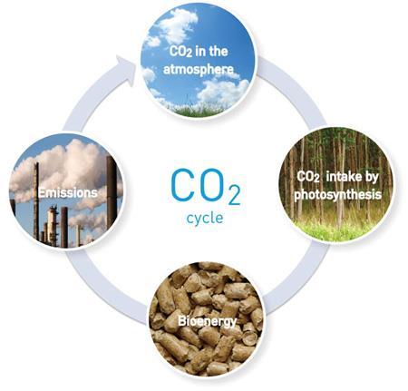 Solid Biomass Fuel Sustainablity CO 2 -neutral burning of waste and biomass alone or combined with fossil fuel is a sustainable technology