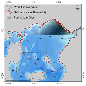 Figur 3. Kort over Løgstør Bredning, der viser Natura 2000 område 16, som inkluderer F12 og H16. Derudover er produktionsområder for muslingefiskeri og forbudsområde for fiskeri angivet. 4.