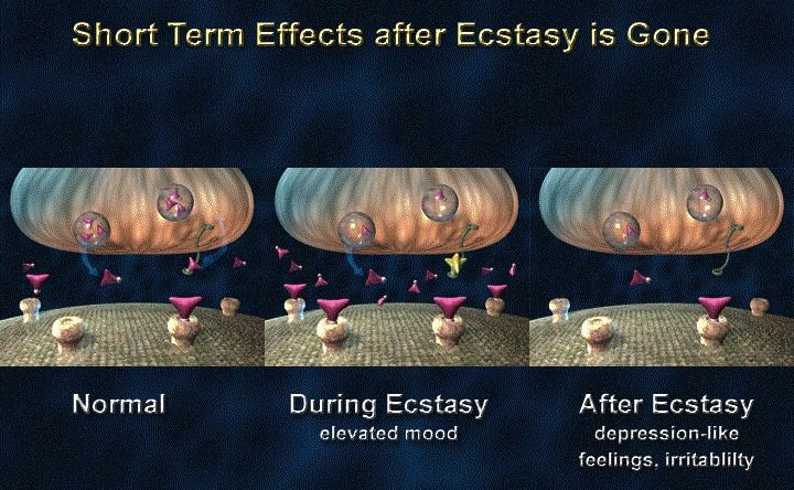 Ecstasy akut effekt National