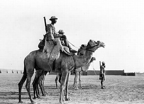 Obersten gjorde, efter en omskiftelig karriere, tjeneste ved The Sudan Camel Corps fra 1924 til 1929, og var chef for korpset fra 1931 til 1937, hvor han trak sig tilbage fra hæren og blev