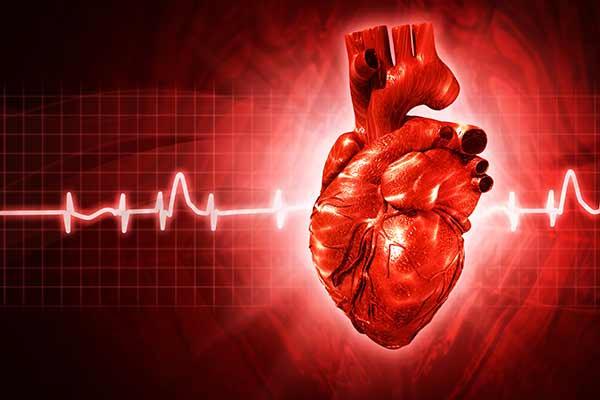 5. Transplantation af organer fra hjertedøde donorer Fokus på at skaffe flere organer, også fra hjertedøde Initiativer og status 2017 Transplantationscentrene iværksætter
