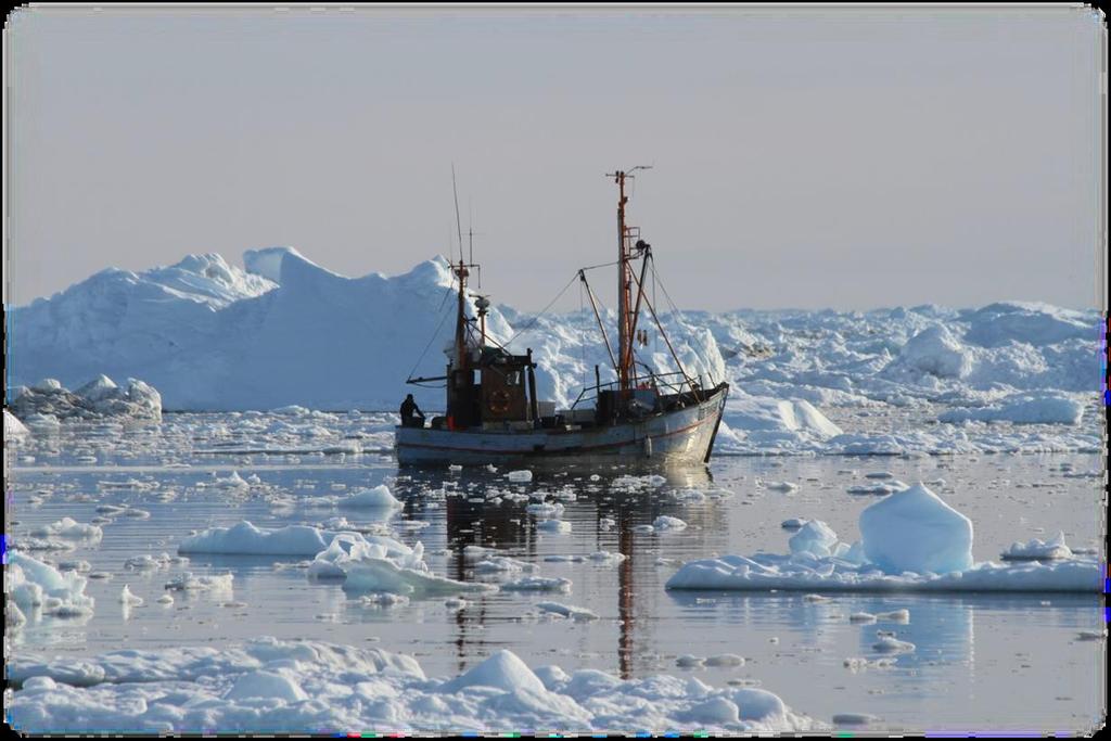 NEAFC er den organisation der regulerer fiskeriet i det internationale havområde øst for Grønland.
