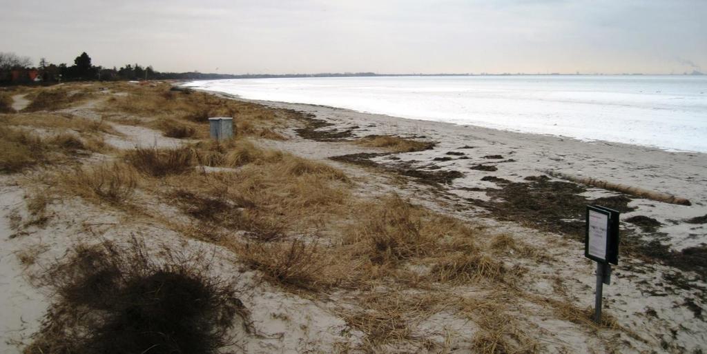 Solrød Strandpark Risiko for makroalger Der er risiko for opskylning af tang (makroalger) i vandkanten ved stranden.