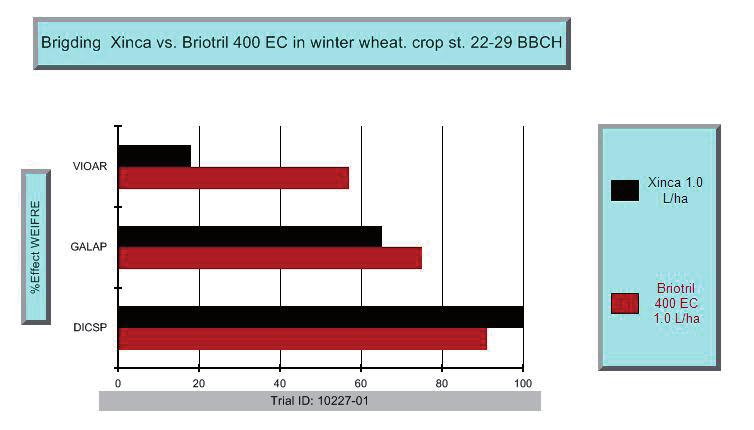 Figur 29. Xinca anvendt i vinterhvede på afgrødens vækststadie 22-29 (forårsanvendelse).