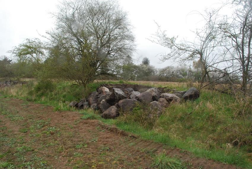 Stenbunker Stenbunkerne blev lagt ud i starten af april. Der er lagt to bunker nord for Ronelkintvejen; de ligger hvor der tidligere har været markskel tilplantet med poppeltræer.