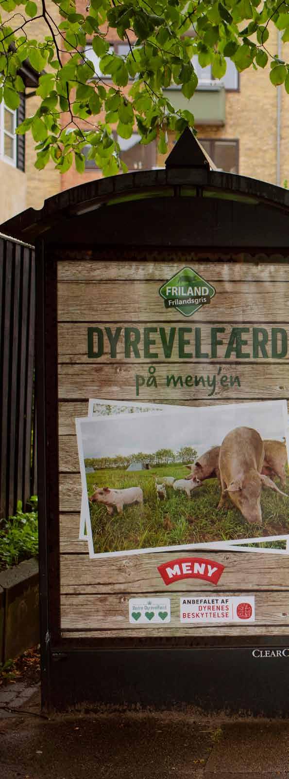 Friland sætter dyrevelfærd på MENY en I september samarbejdede Friland og MENY-kæden igen om at stille skarpt på FRILANDSGRIS for at gøre opmærksom på den gode dyrevelfærd, der kendetegner konceptet.