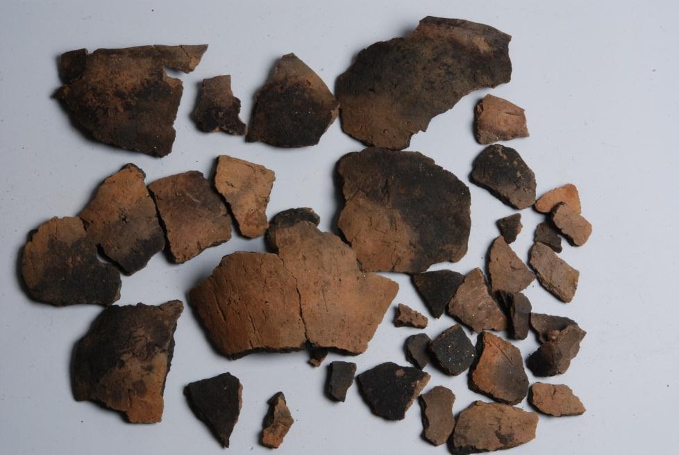 samtidige. Lerkarskårene i de tidligere undersøgte gruber dateres til ældre førromersk jernalder.