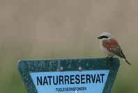 Flere reservater har status som fuglelokaliteter af både national og international betydning.