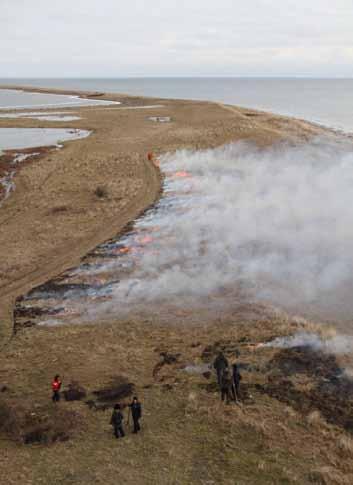 Fugleværnsfonden havde allieret sig med eksperter fra Blåvandshuk, hvor afbrænding er en rutinemæssig metode til pleje af lysåbne naturtyper.