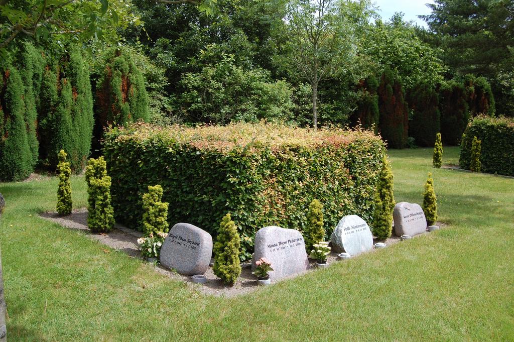 Urne i græs omkring bøgepur. Der er udlagt afdelinger med urnegravpladser i græs omkring bøgepur på Søndre Kirkegård. Gravgård D2.