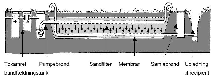 Pileanlæg Et pileanlæg er opbygget som et tæt bassin med membranbund tilplantet med pil. Pileanlægget fungerer ved, at pilen optager og fordamper spildevandet.