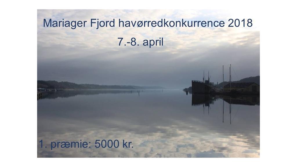 Så skal der dystes ved Mariager Fjord efter havørreder, fra lørdag den 7. kl. 14.00 