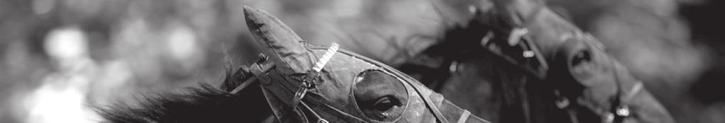 SØNDAG DEN 20. MAJ 2018 // BANE 03 // JYDSK VÆDDELØBSBANE 37 BLIV KLOGERE PÅ trænernes forventninger til deres heste. Læs kommentarer på jvb-aarhus.