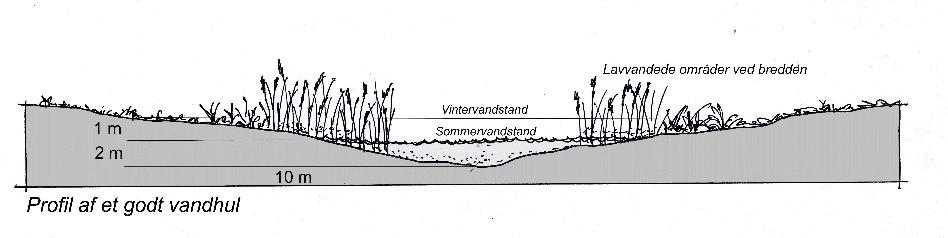 går naturligt i terrænet. Opgravet jord må ikke placeres indenfor det beskyttede engareal, jf. kortbilag. Der må ikke anlægges øer. Der skal udlægges en minimum 2 meter udyrket bræmme.