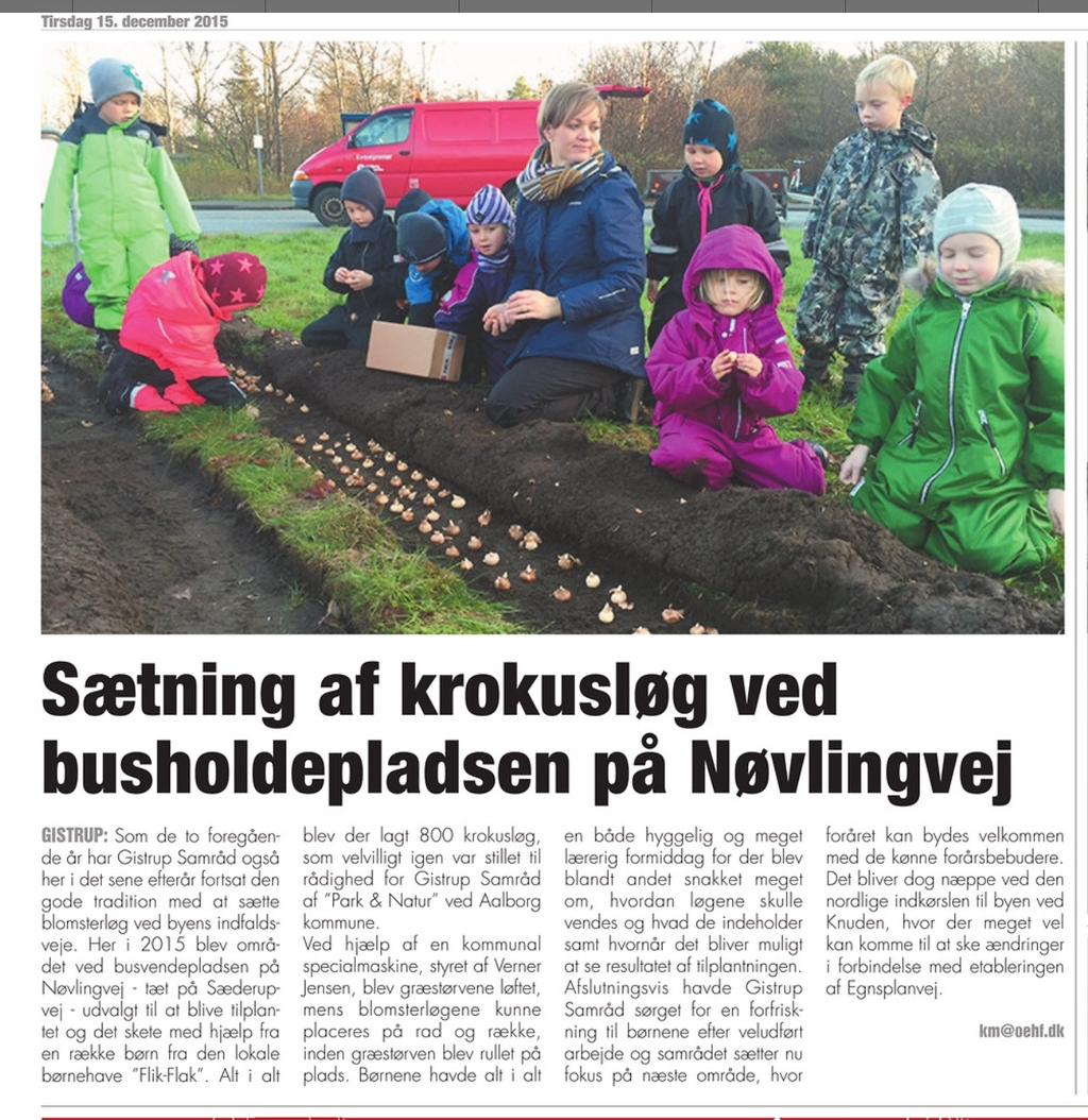 Plantning af forårsblomster på Nøvlingvej.
