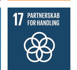 1. CIVILSAMFUNDSPULJENS FORMÅL Civilsamfundspuljen støtter indsatser, der udføres i samarbejde mellem danske organisationer og deres partnere og andre aktører i udviklingslande.