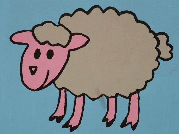 I Prøv at kig på fårene. Kan I finde nogle geometriske figurer? Hvilken geometrisk figur har fårenes pupiller (det sorte i øjnene)? Prøv at kig på fårene lige forfra eller lige bagfra.