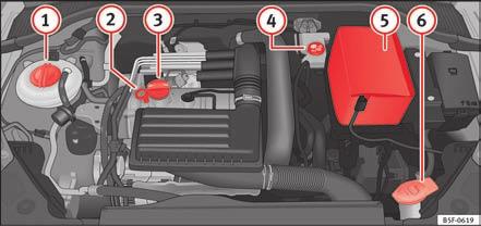 Anbefalinger Motorrum Kontrol af væskestande Fig. 233 Elementernes placering De forskellige væskers væskestand i bilen skal kontrolleres regelmæssigt.