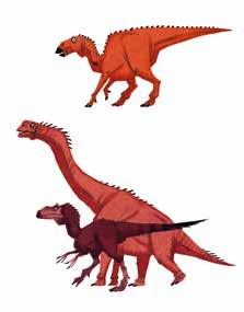 DINOSAURERNES OPRINDELSE Navnet dinosaur eller dinosaurus betyder»frygtelig øgle«.
