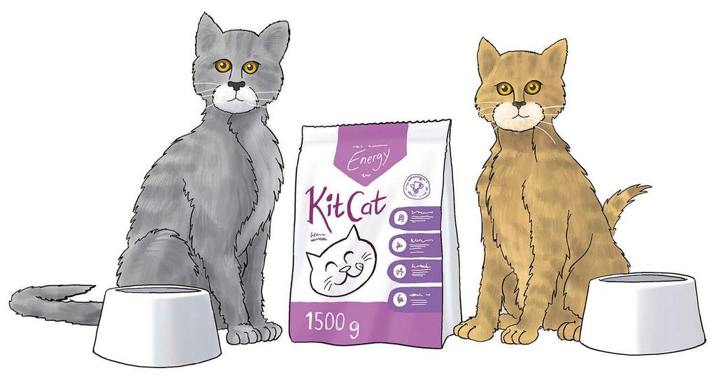 Opgave 3 Tegning: Hans Ole Herbst Ellens kat spiser 50 g kattemad om dagen. 3.1 Hvor mange dage kan Ellens kat få mad, når en pose indeholder 1500 g kattemad?