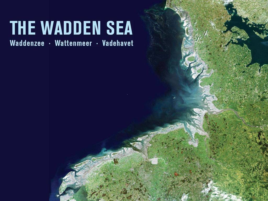 Vision Nationalpark Vadehavet er internationalt kendt som et enestående marsk-, geest- og tidevandsområde med værdier