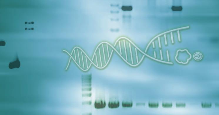 og QRT-PCR reagenser. Både master mix og RT enzym er af nyeste generation, som sikrer dig bedst sensitivitet, størst signal og bedst reproducerbarhed.