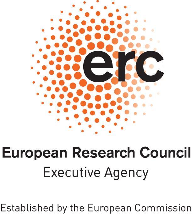Det Europæiske Forskningsråd (EFR) Standardaftale EFR-tilskud med lav værdi (H2020 Standardaftale om EFR-tilskud med lav værdi