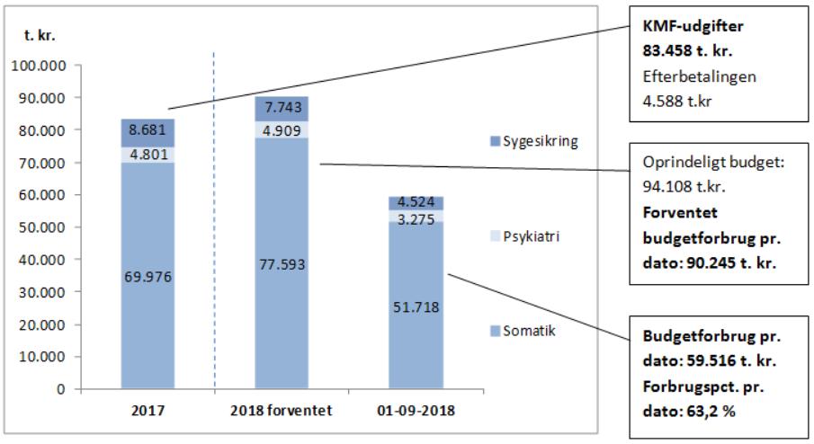 Opfølgning på KMF, pr. dato, 2018 Ovenstående figur viser det faktiske forbrug af KMF på aktivitetsområderne pr. 1. sep. 2018 fra esundhed.