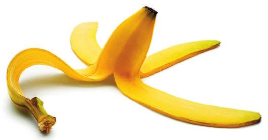 Status over bananen Siden 2003 har der i nyhedsbrevene været indlæg om Sandfangeren, så ingen regl uden undtagelse.
