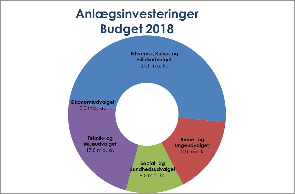 Anlægsinvesteringer I budgettet for 2018 er der afsat 76,0 mio. kr. til anlægsinvesteringer.