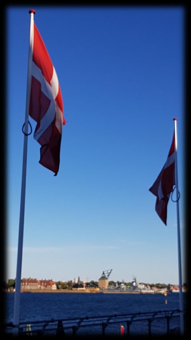 Side 10 Fortsat fra side 9 Danske skibe må som nationalitetsmærke kun sejle med det danske handelsflag i form af Dannebrog som stutflag.