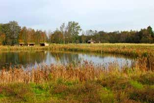 Mod nord i Vøgas Lund er der en lille sø og med de fine stiforhold danner skovområdet en smuk ramme for forskellige udendørs arrangementer.