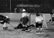 Dedek me je pripeljal na igrišče, kjer so bili že zbrani moji prijatelji, ki so navdušeni ljubitelji hokeja na ledu. Komaj smo čakali, da stopimo na led in odigramo tekmo.