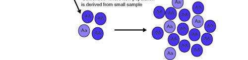 Thus, any new population which is produced from this new, founder population will have an allele frequency which is different from the original population, this is the