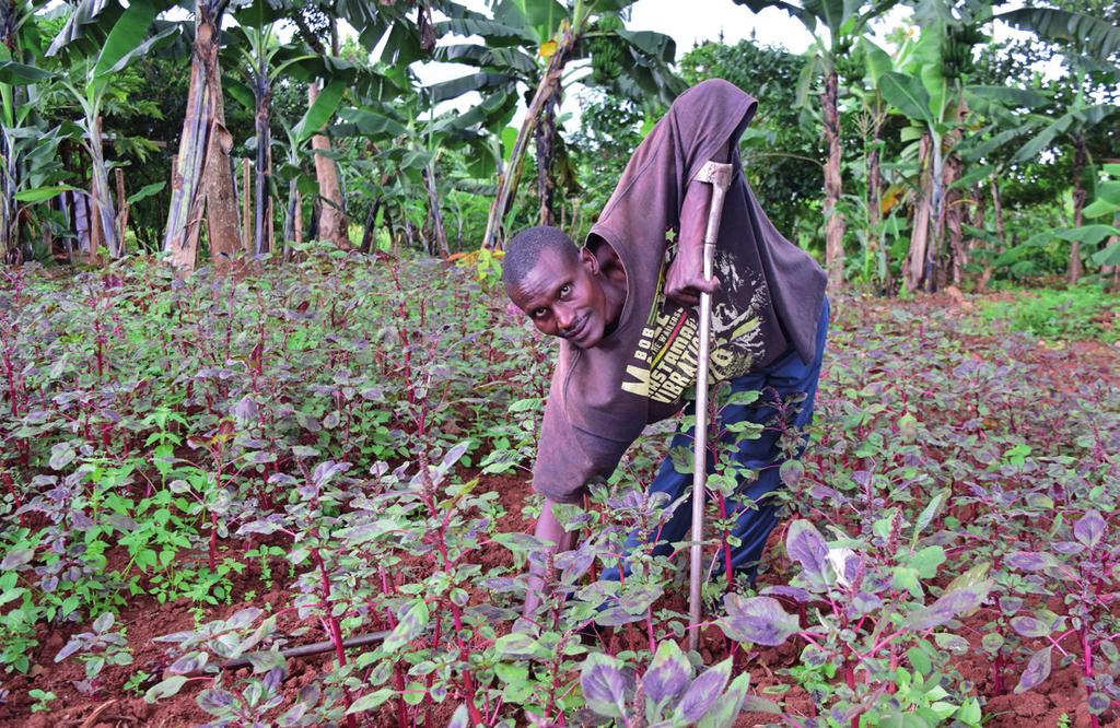 Landbruget er derfor deres eneste mulighed. Livet som bonde i Uganda er på mange måder et hårdt liv med stor usikkerhed.