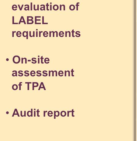 TPA Audit report
