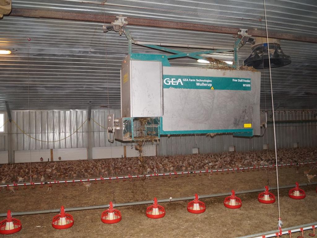 4.4 Grovfoder Grovfoder er en vigtig del af økologiske kyllingers foder, da det lovmæssigt er et krav at økologisk producerede kyllinger får grovfoder tildelt.
