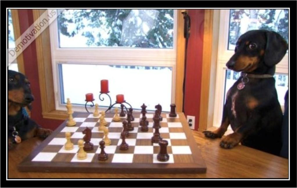 My wife said, she will leave me, when I take part in this chess tournament next week.